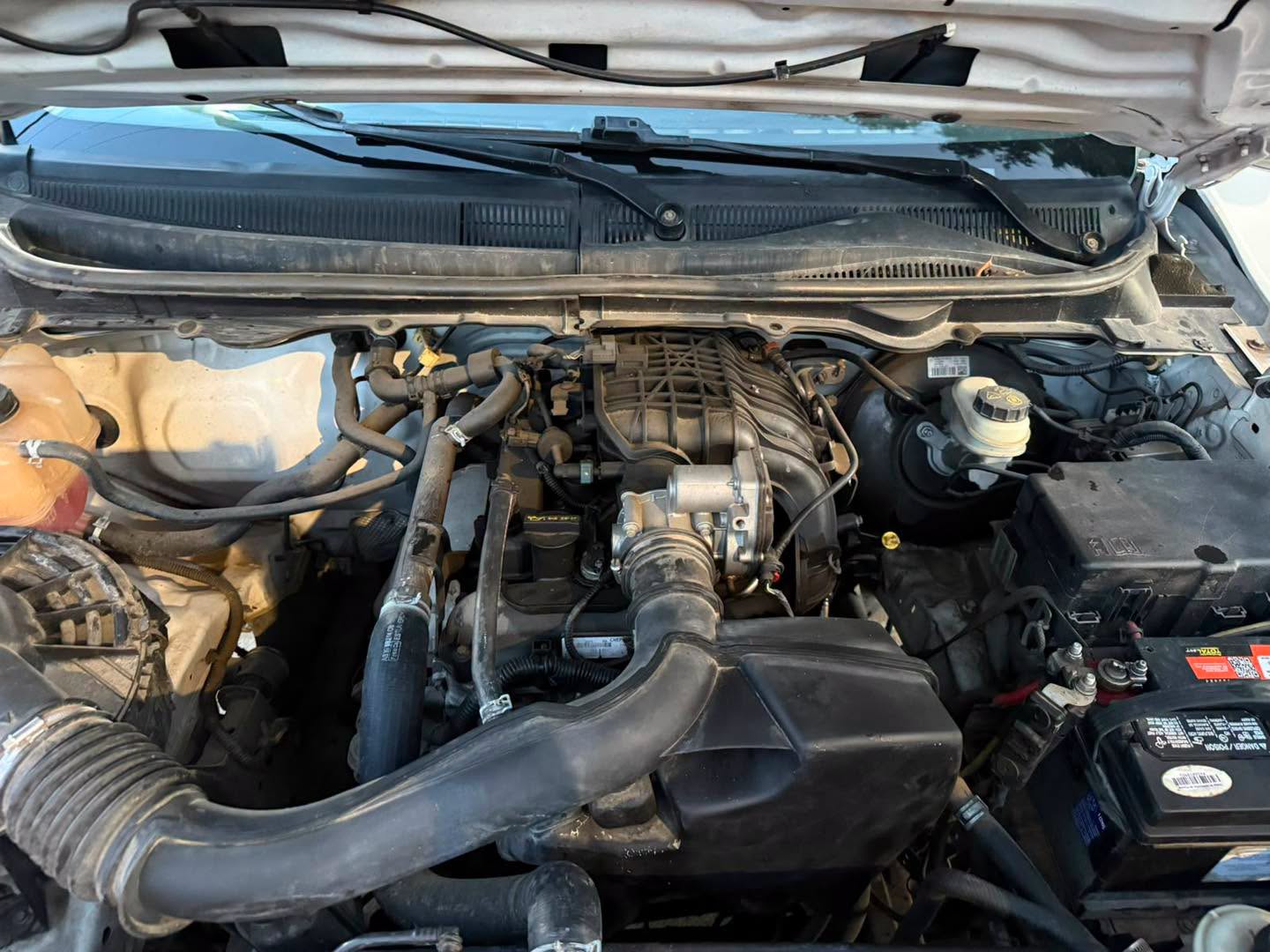857774130_4609145419342795_2614252523457646270_n